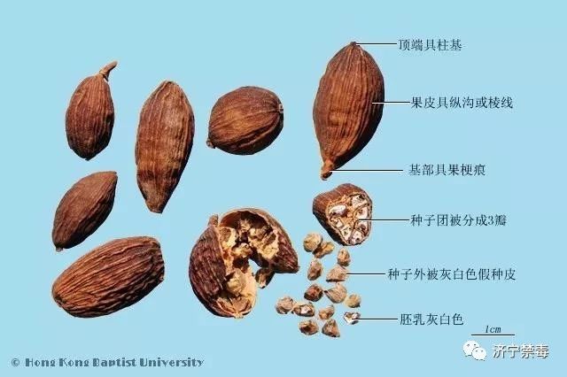 微信圖片_20210401103927.jpg