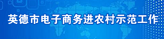 英德市電子商務(wù)進(jìn)農(nóng)村示范工作