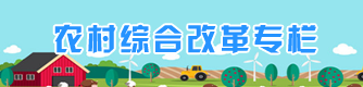 農(nóng)村綜合改革專欄