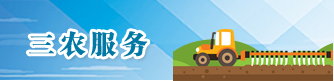 三農(nóng)服務(wù)