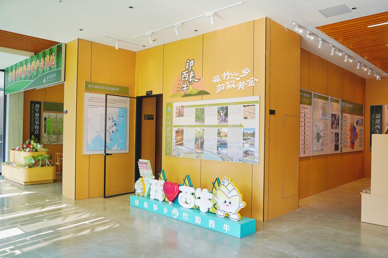 美麗圩鎮(zhèn)客廳.png